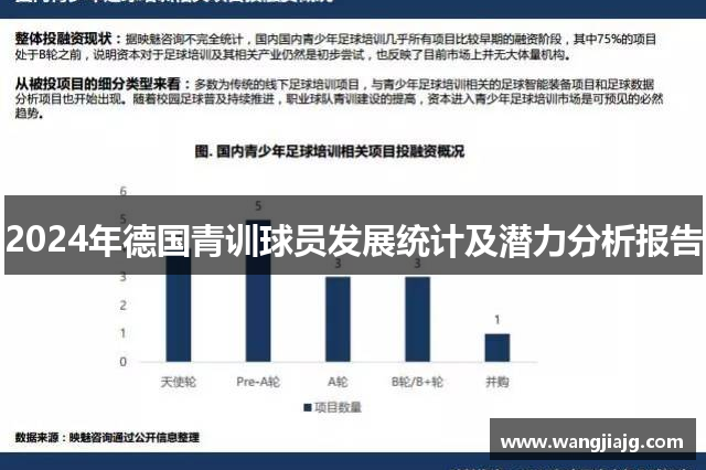 2024年德国青训球员发展统计及潜力分析报告